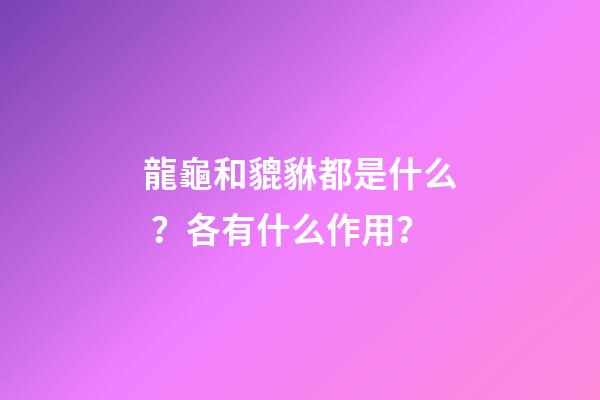 龍龜和貔貅都是什么？各有什么作用？